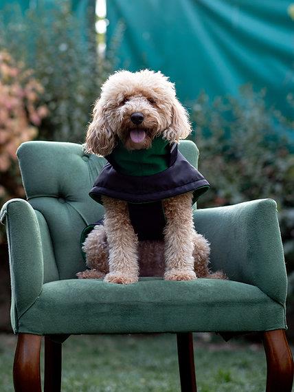 Asky&Erd Extreme Wheater Coat I Ink Köpek Montu