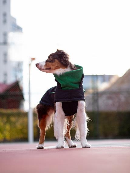 Asky&Erd Extreme Wheater Coat I Ink Köpek Montu