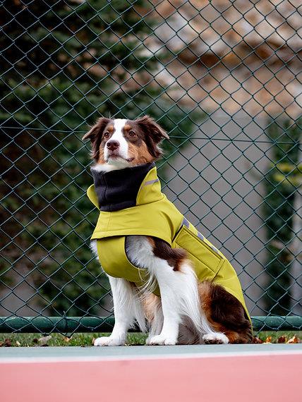 Asky&Erd Extreme Wheater Coat I Olive Köpek Montu