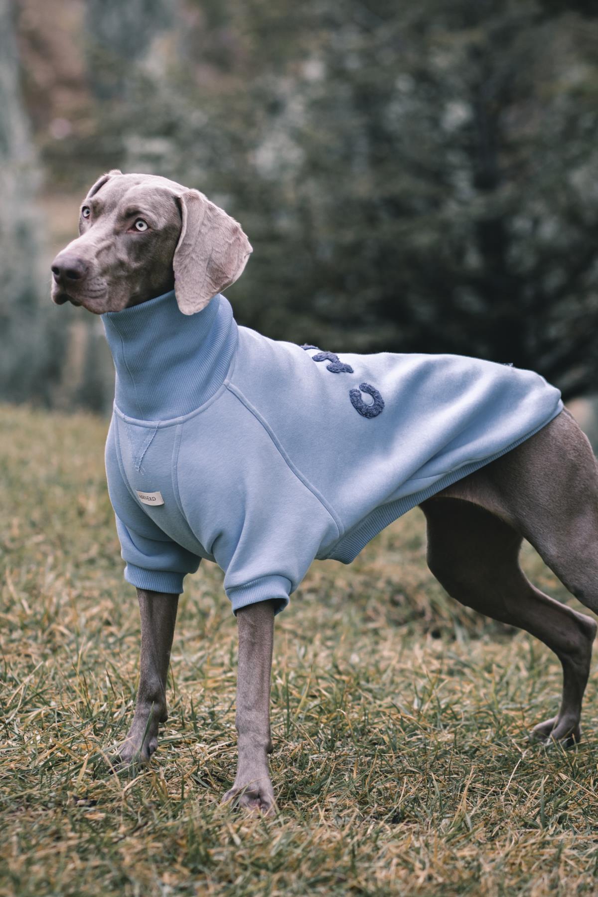 Asky & Erd High Neck Cozy Sweater | Chill