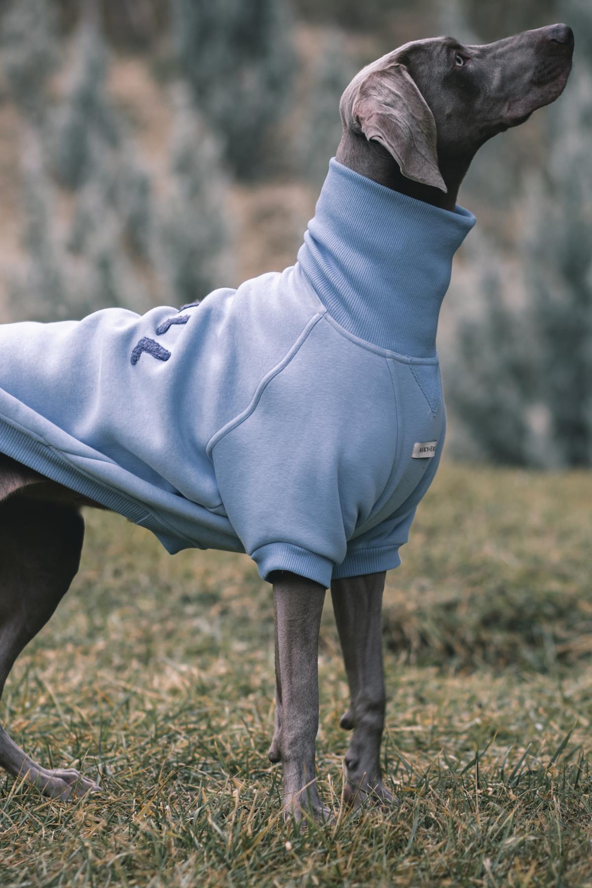 Asky & Erd High Neck Cozy Sweater | Chill
