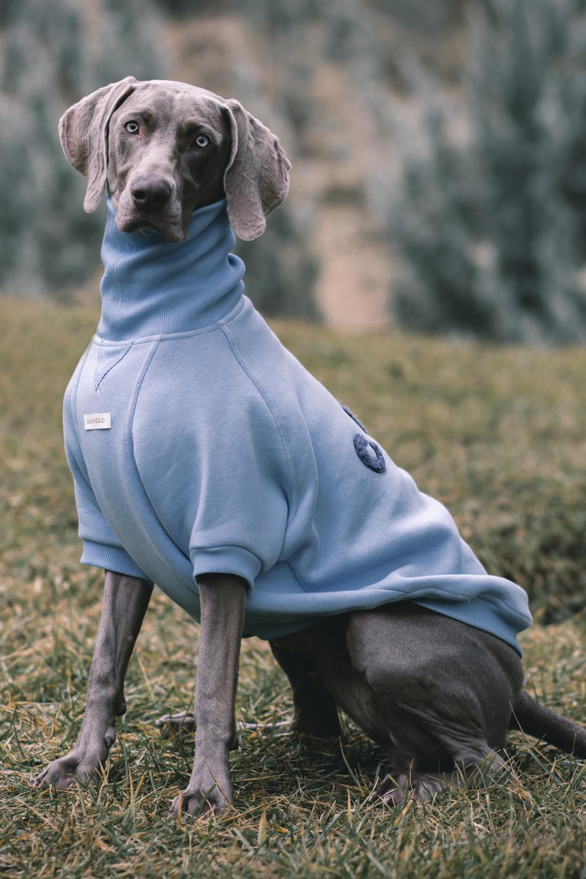 Asky & Erd High Neck Cozy Sweater | Chill