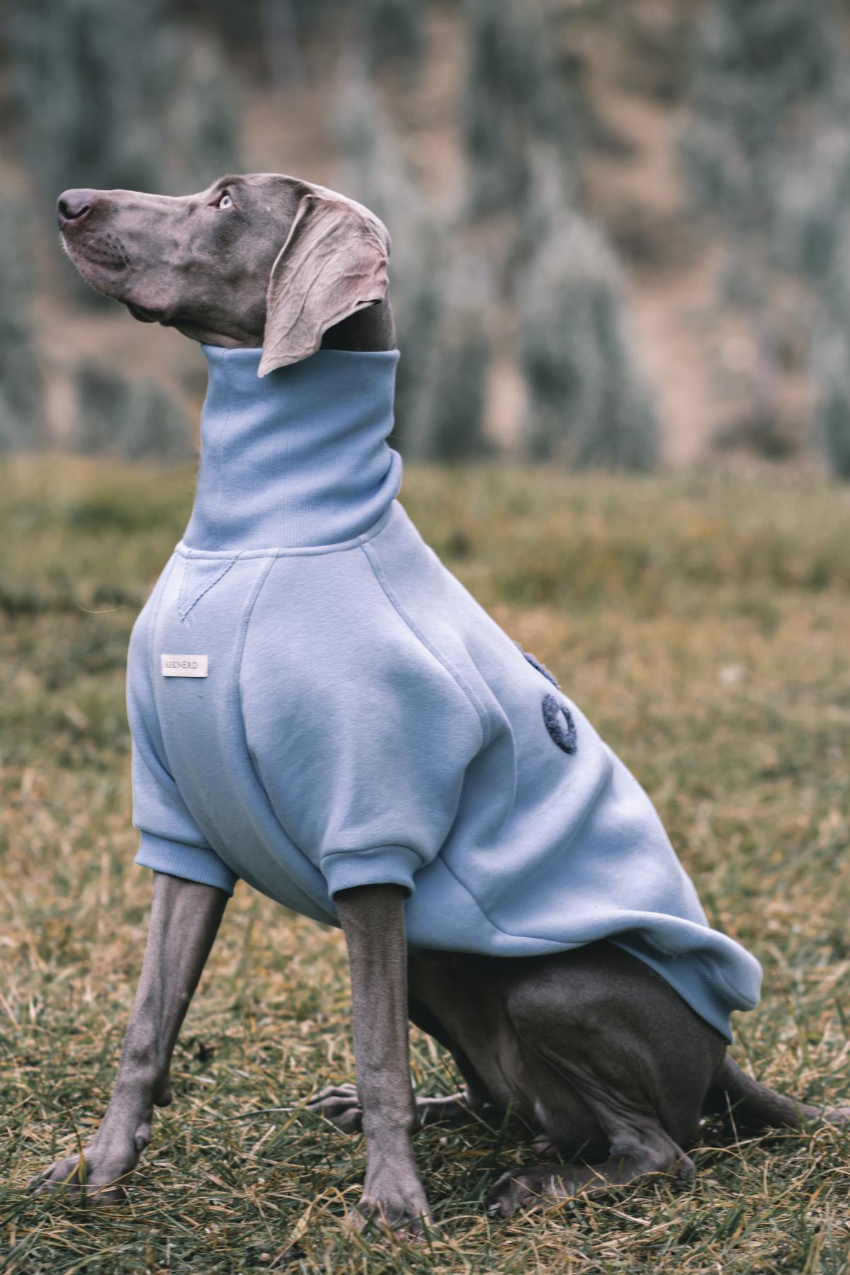 Asky & Erd High Neck Cozy Sweater | Chill