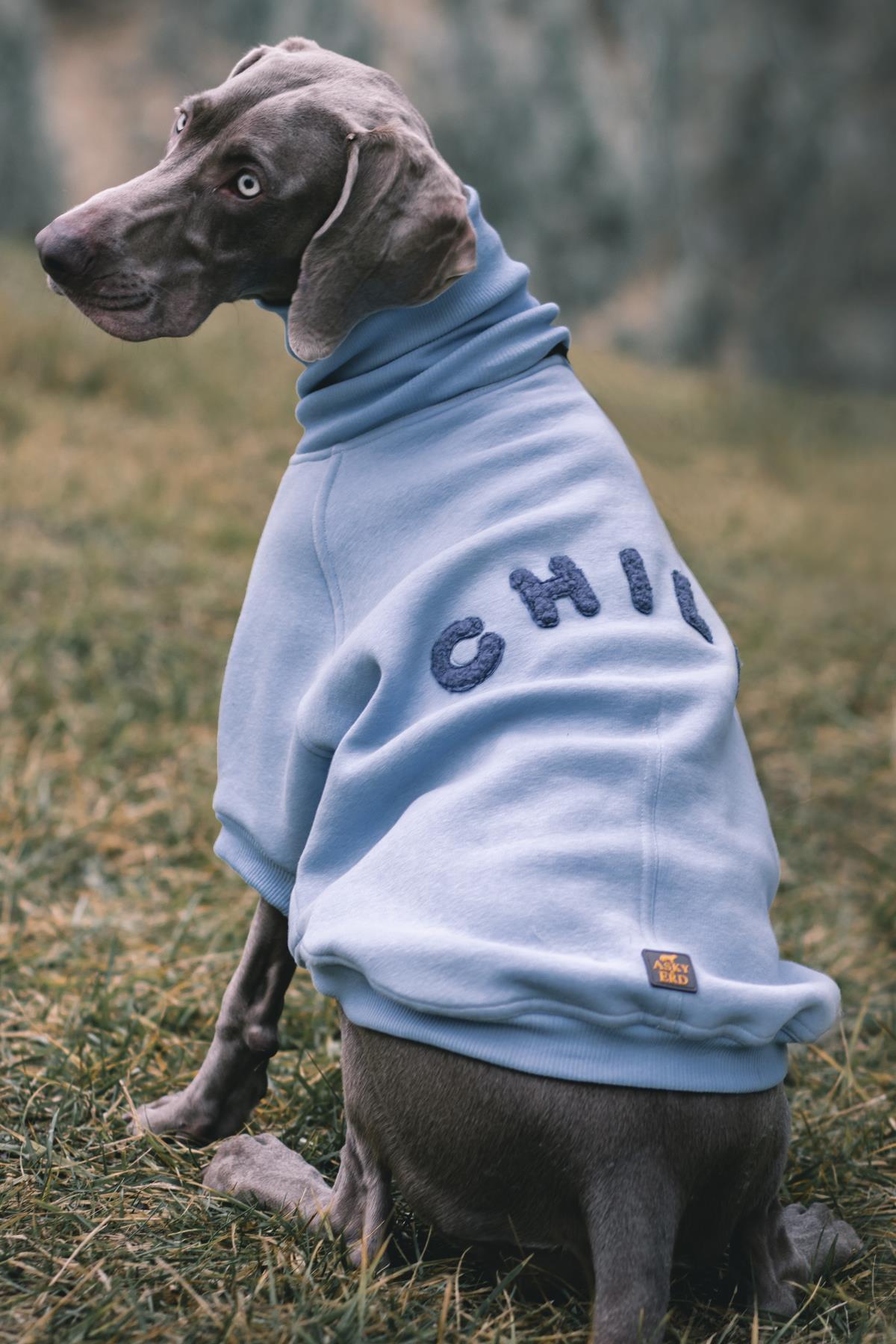 Asky & Erd High Neck Cozy Sweater | Chill