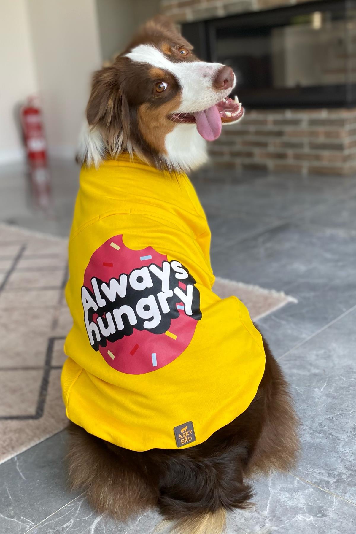 Asky&Erd “I am”.. Sweatshirts Collection - Always Hungry Köpek Sweatshirtü