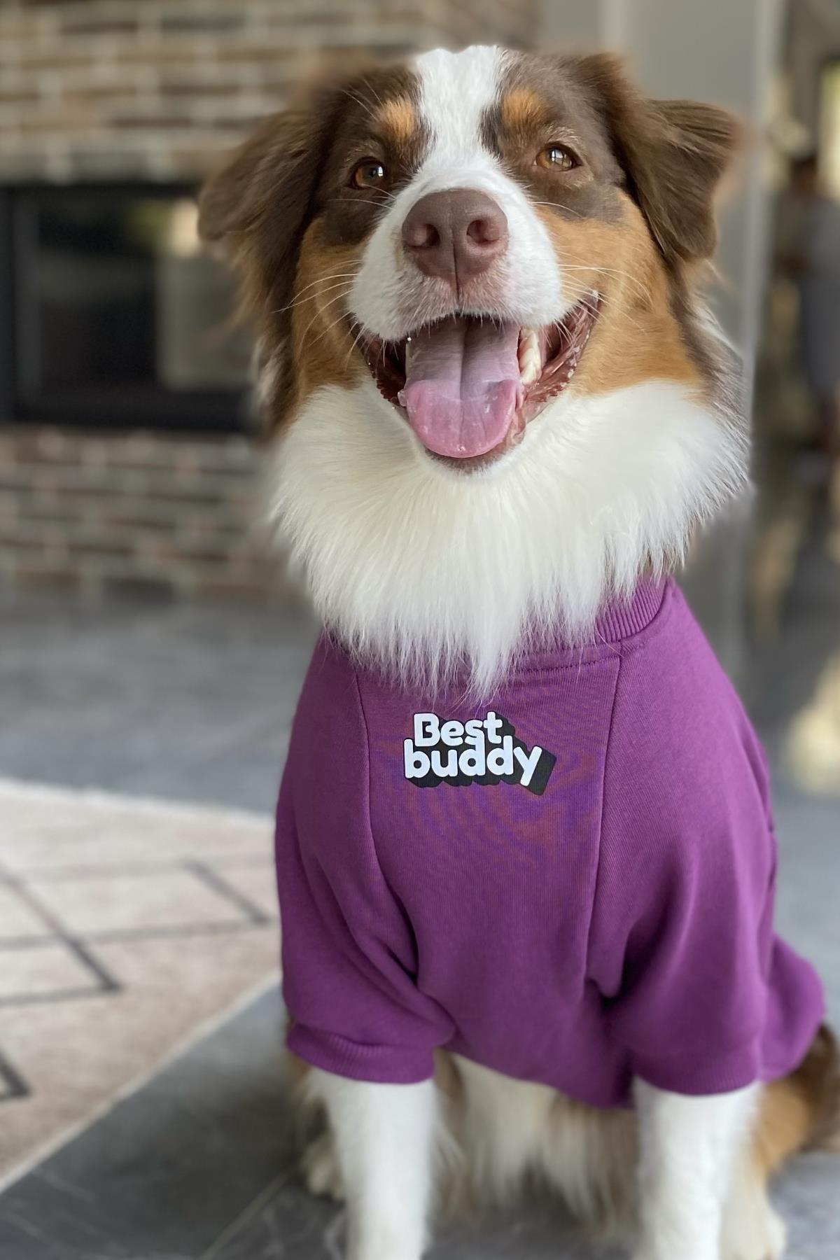 Asky&Erd “I am”.. Sweatshirts Collection - Best Buddy Köpek Sweatshirtü