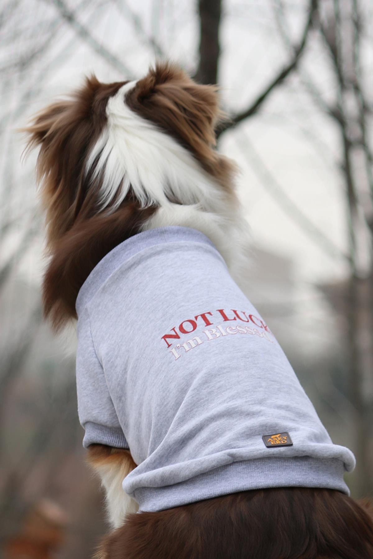 Asky&Erd Köpek Blessed  Signature Sweatshirt
