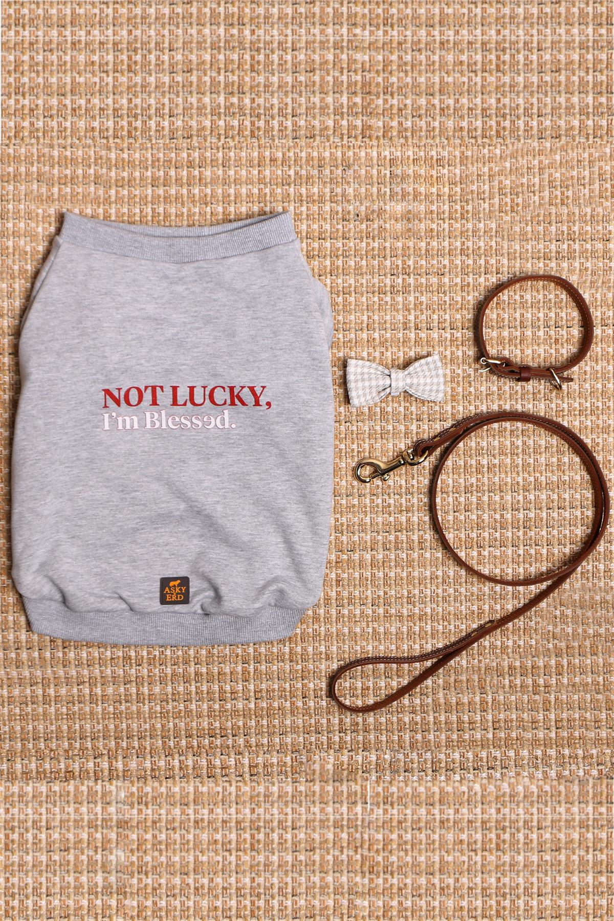 Asky&Erd Köpek Blessed  Signature Sweatshirt