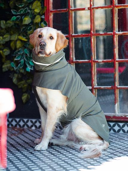 Asky&Erd Raincoat | Juniper Green Köpek Yağmurluğu