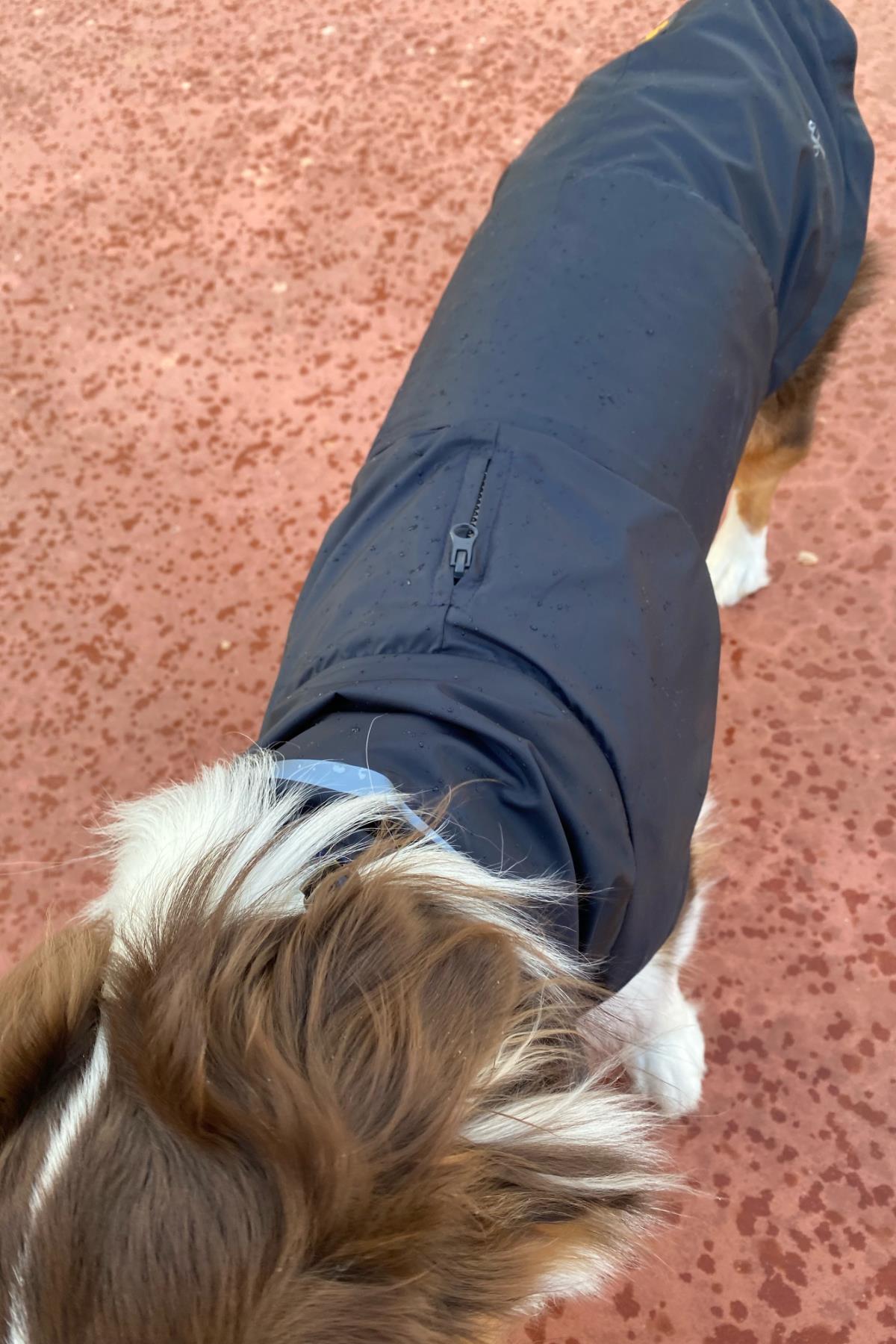 Asky&Erd Raincoat | Midnight Blue Köpek Yağmurluğu