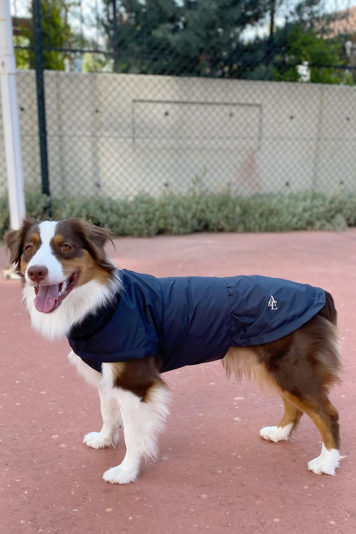 Asky&Erd Raincoat | Midnight Blue Köpek Yağmurluğu