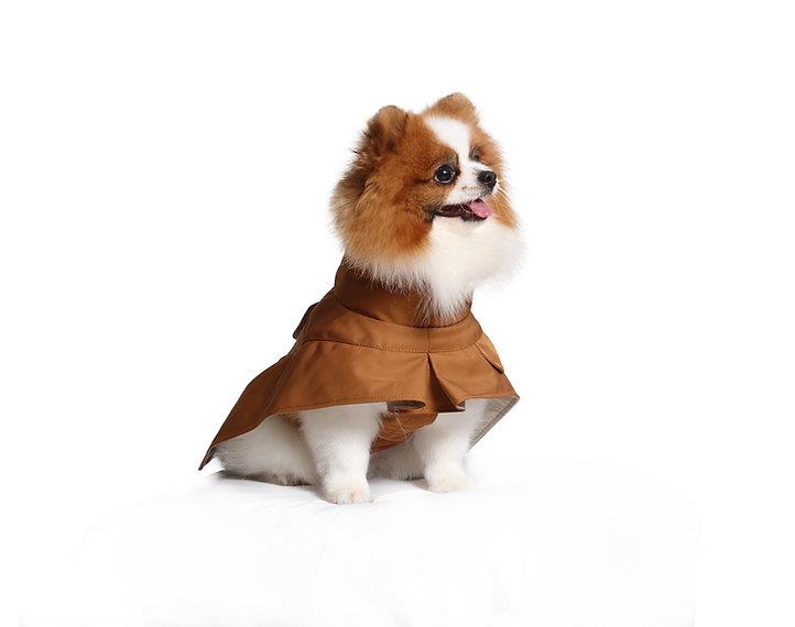 Asky&Erd Raincoat Trenchcoat | Cinnamon Köpek Yağmurluğu 