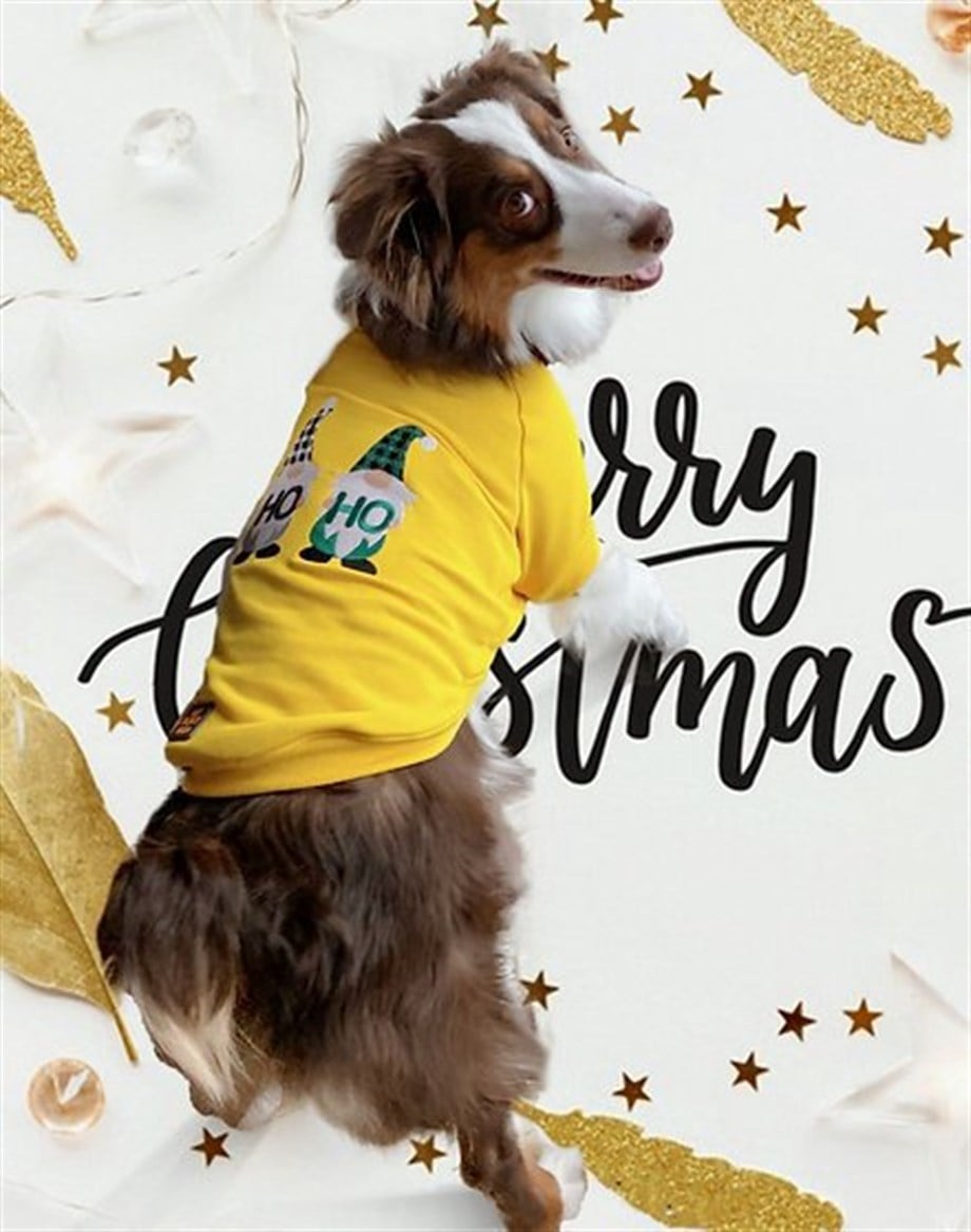 Asky & Erd Signature Dog Sweatshirt - Ho Ho !! - Sunshine Yellow