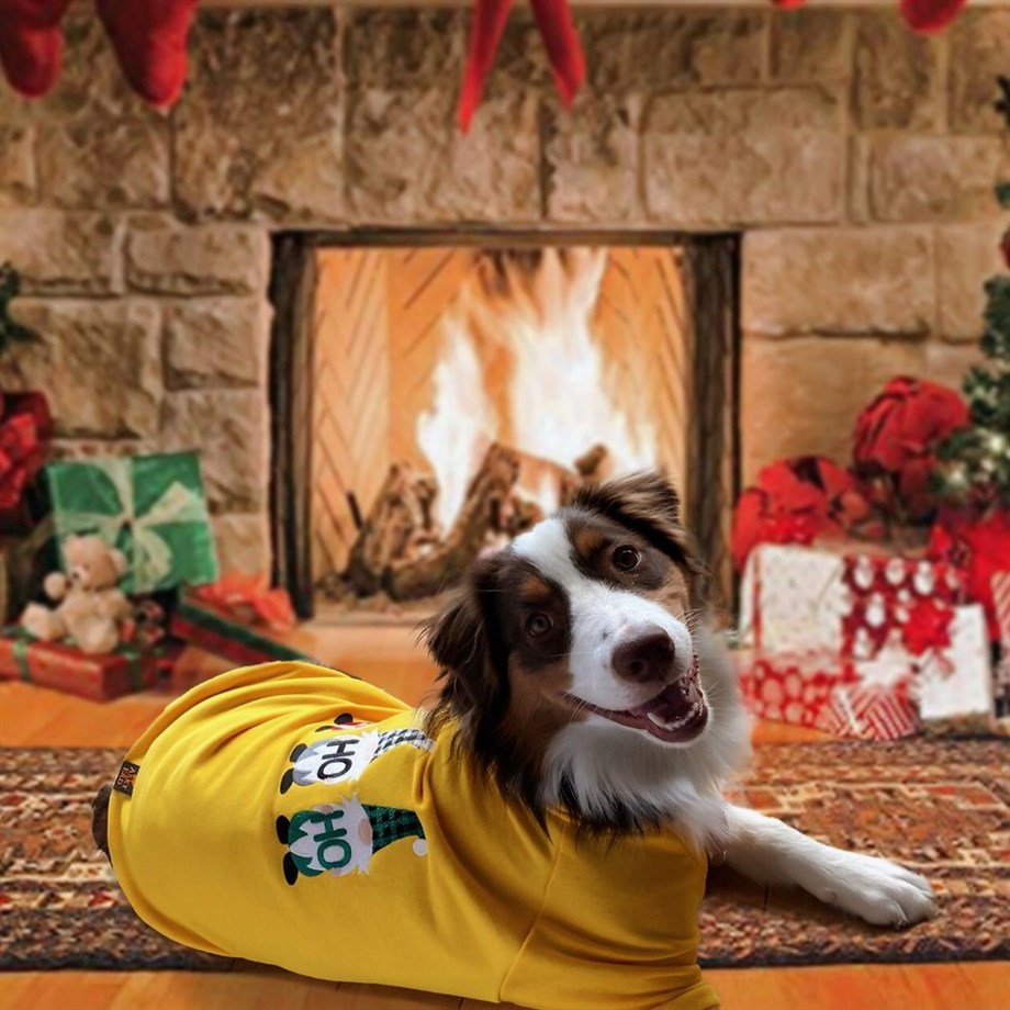 Asky & Erd Signature Dog Sweatshirt - Ho Ho !! - Sunshine Yellow