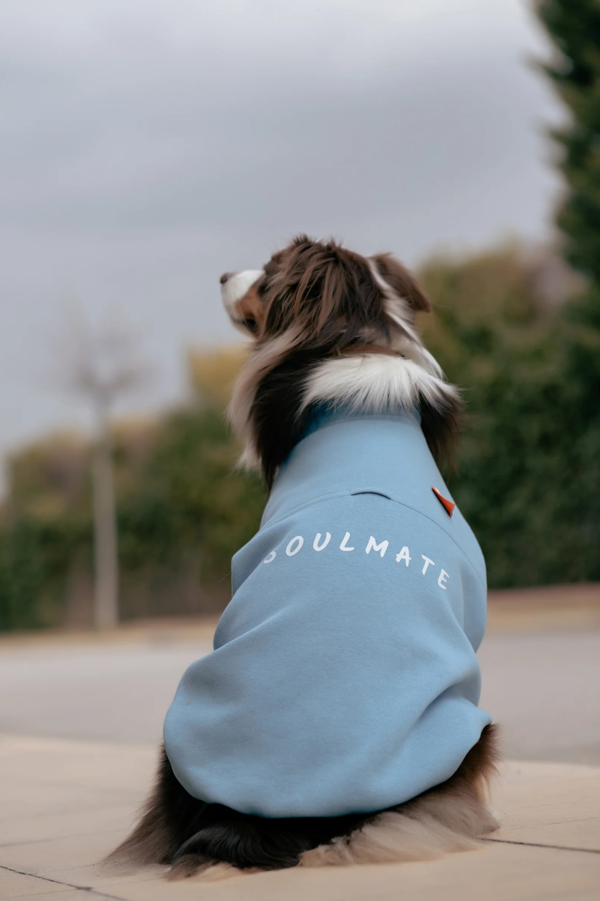 Asky&Erd Soulmate Sweatshirt | Mist Blue 