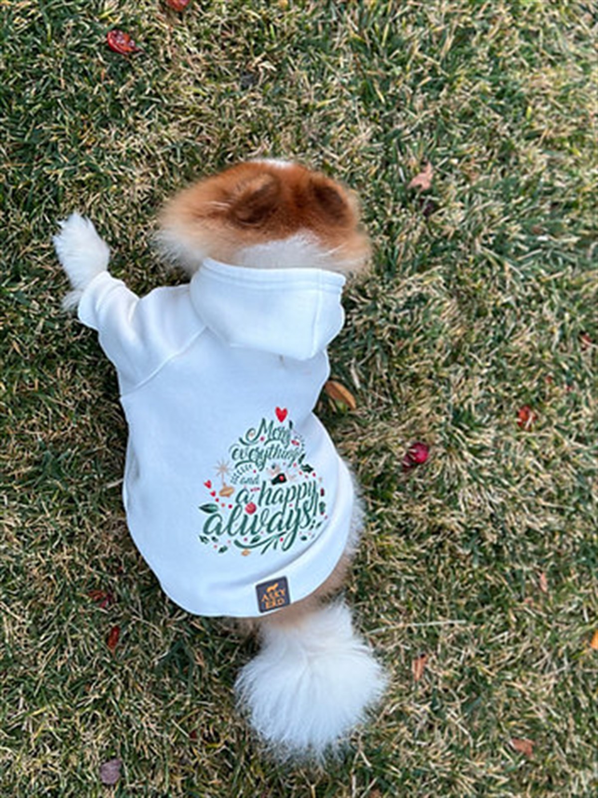 Asky&Erd Woofmas Collection | Merry Everything