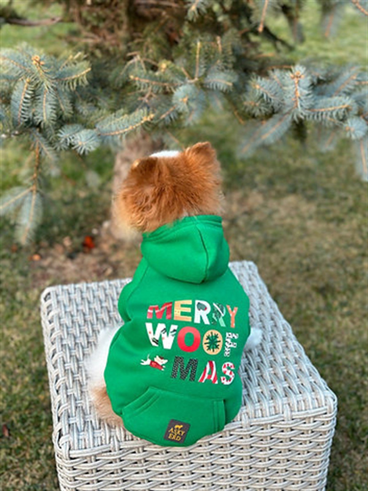 Asky&Erd Woofmas Collection | Woofmas