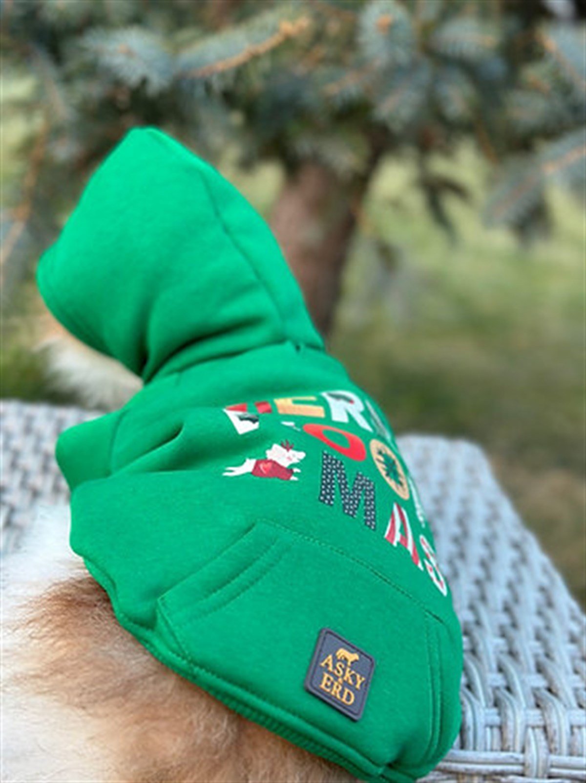 Asky&Erd Woofmas Collection | Woofmas