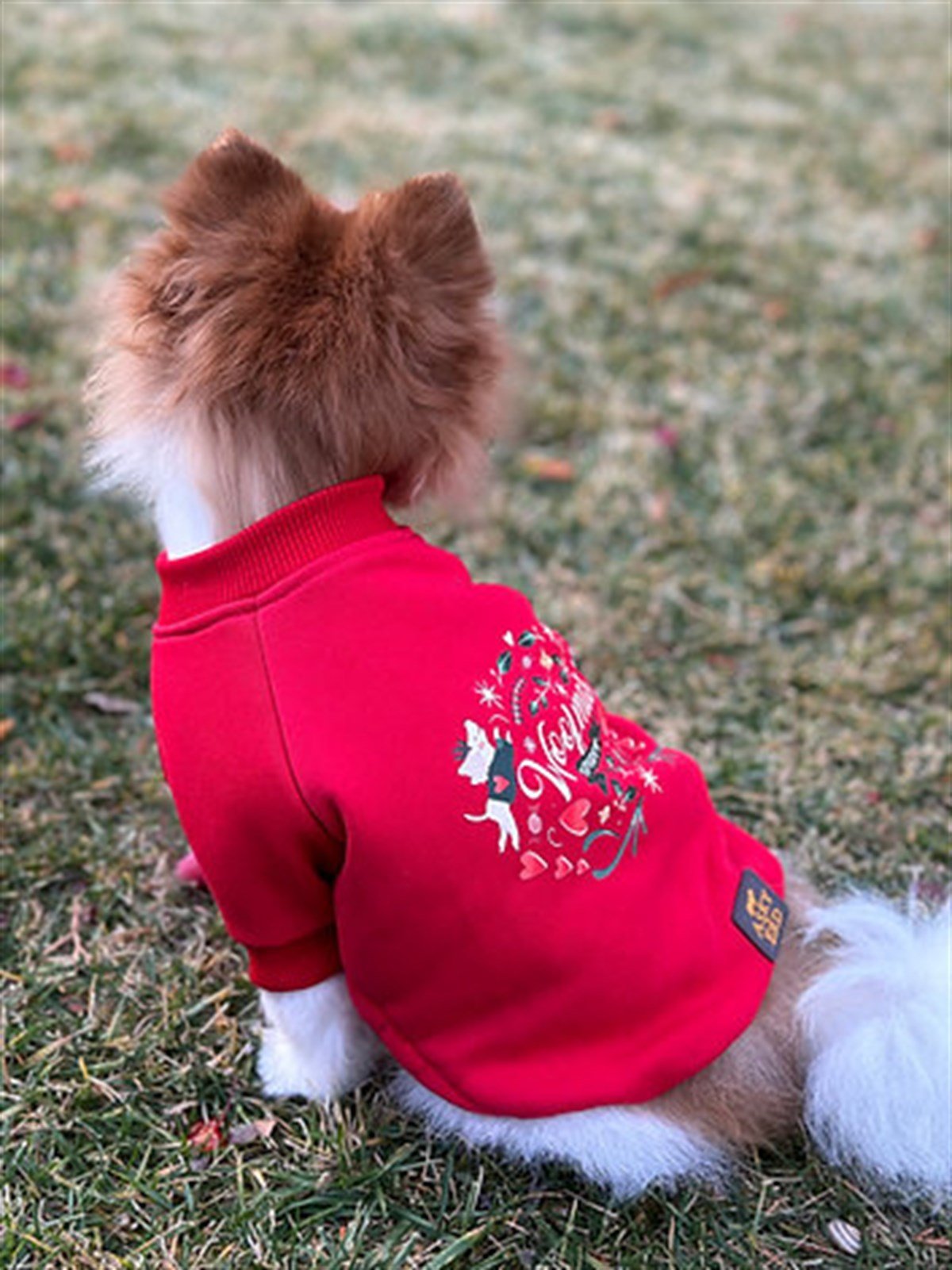 Asky&Erd Woofmas Collection | Woofmas Spirit