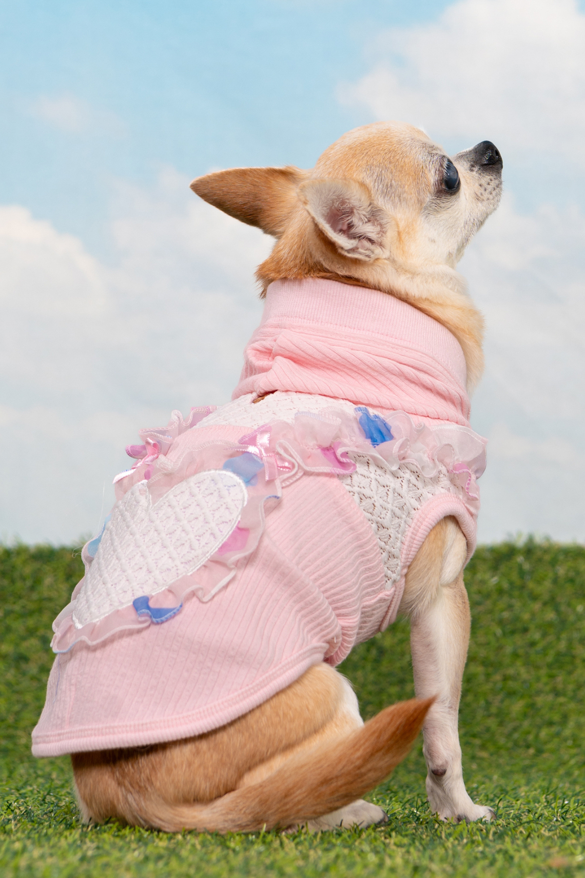 Pinkaholic New York Tiana Kapüşonlu Köpek Sweat Pembe 