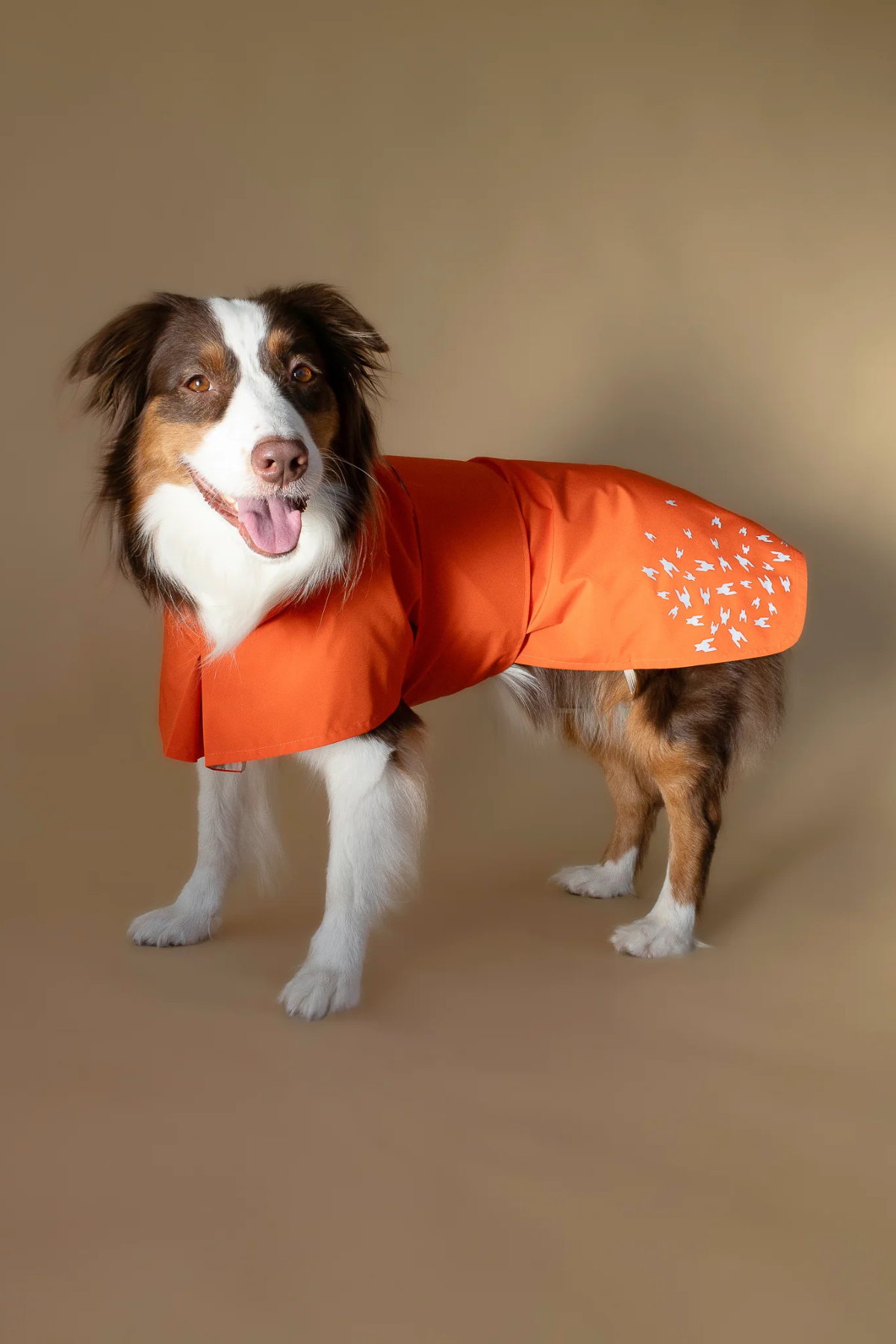 Seattle Raincoat | Amber Glow