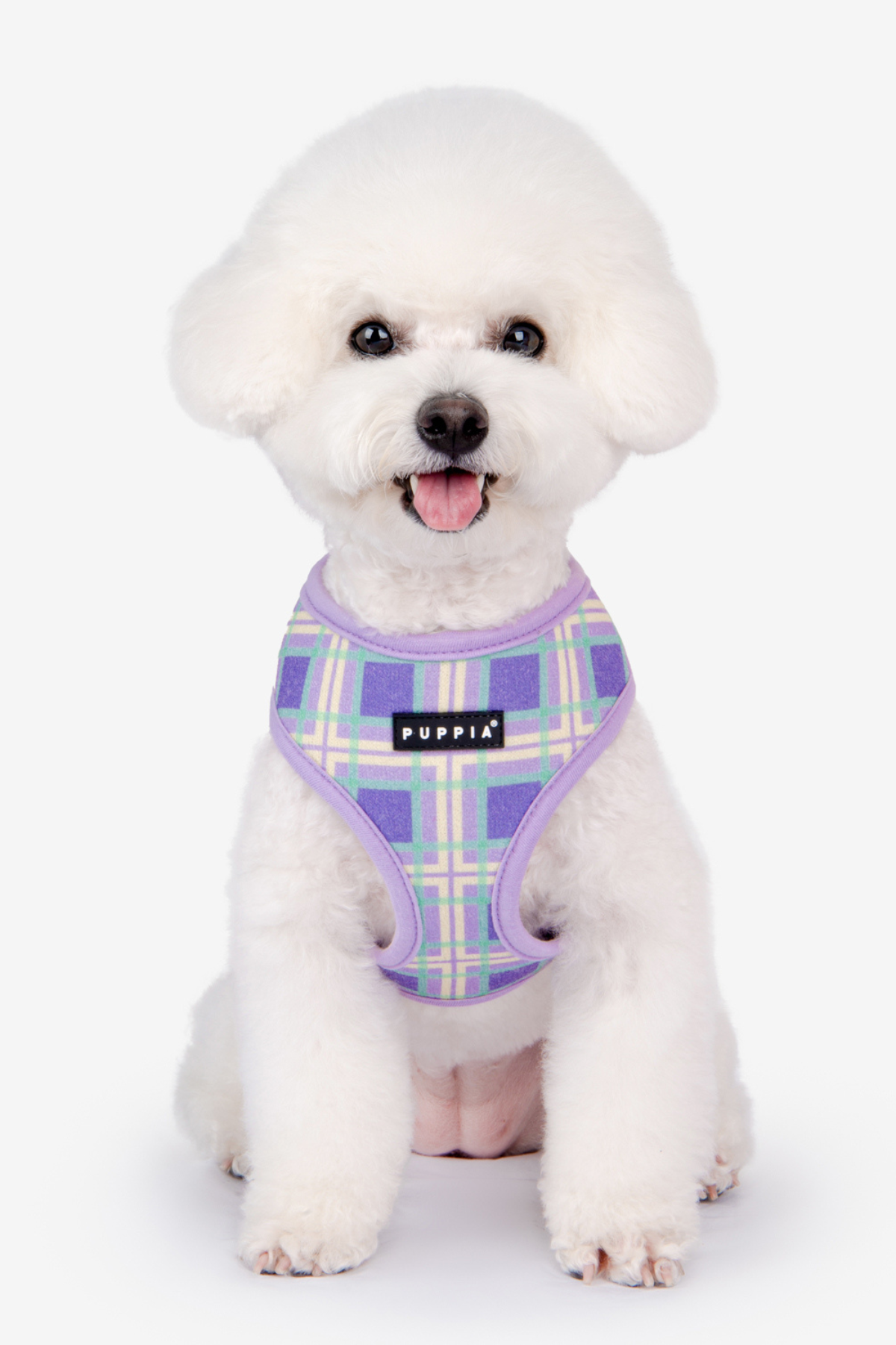 Jaylen Harness A Köpek Göğüs Tasması Mor 