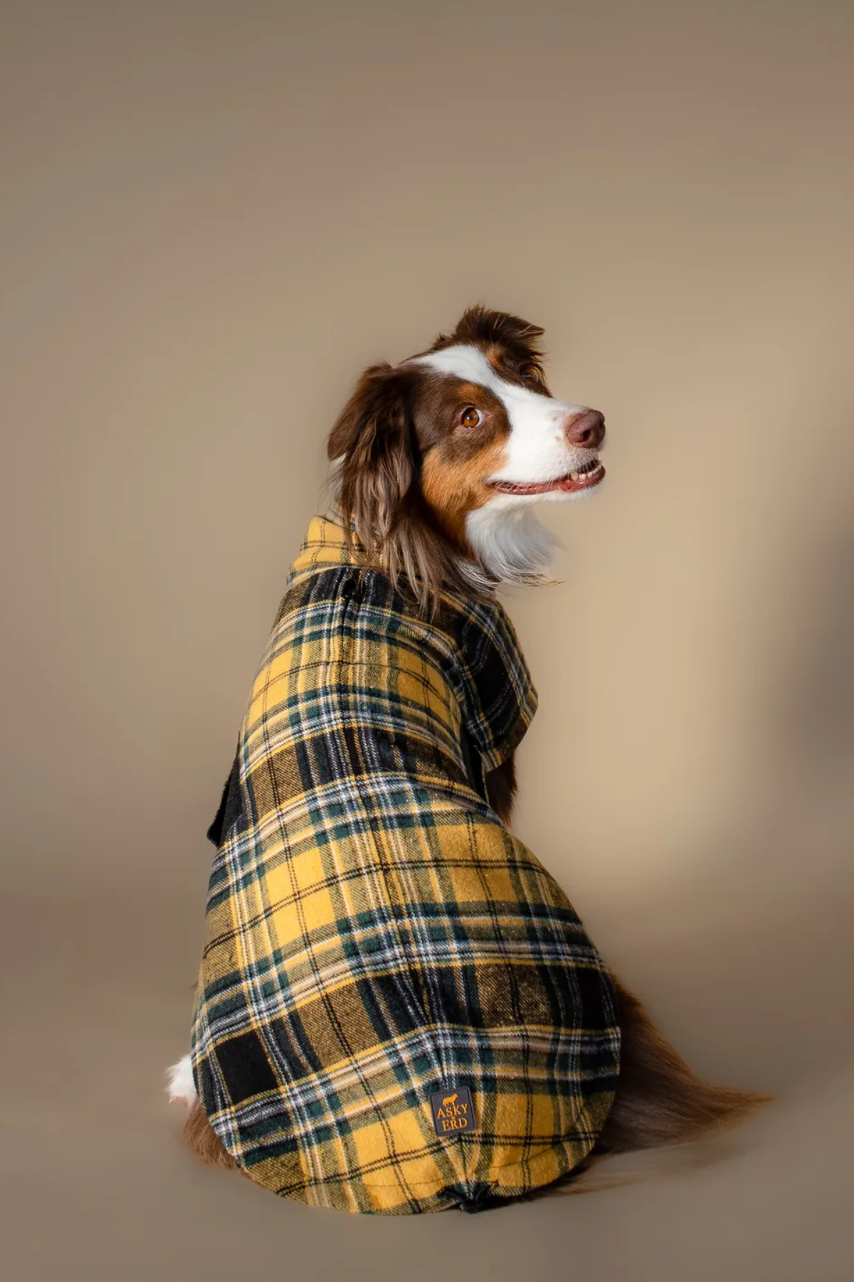 Asky&Erd Chicago Chicago Vest Golden Plaid