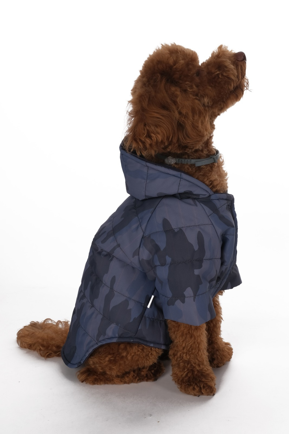 Doredog Gri Kamuflaj Mont