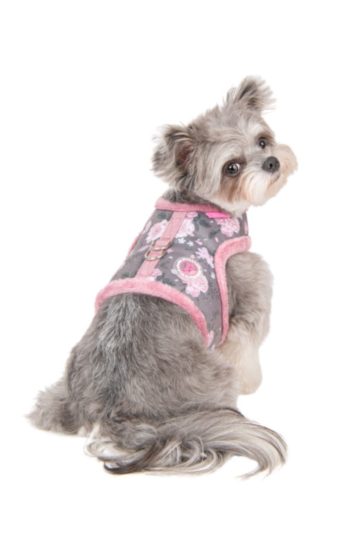 Pinkaholic New York Calla Pinka Harness Köpek Göğüs Tasması Grey