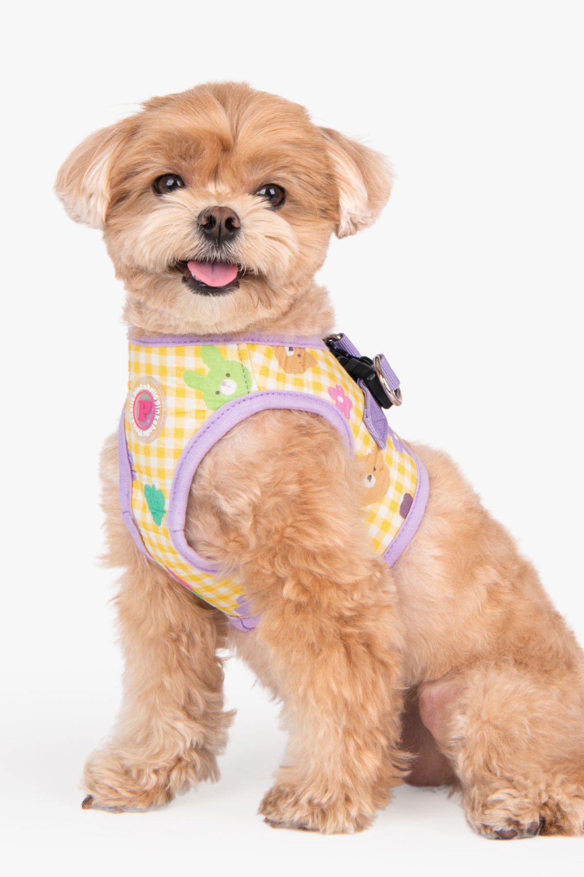 Pinkaholic New York Annabelle Vest Harness Göğüs Tasması Mor