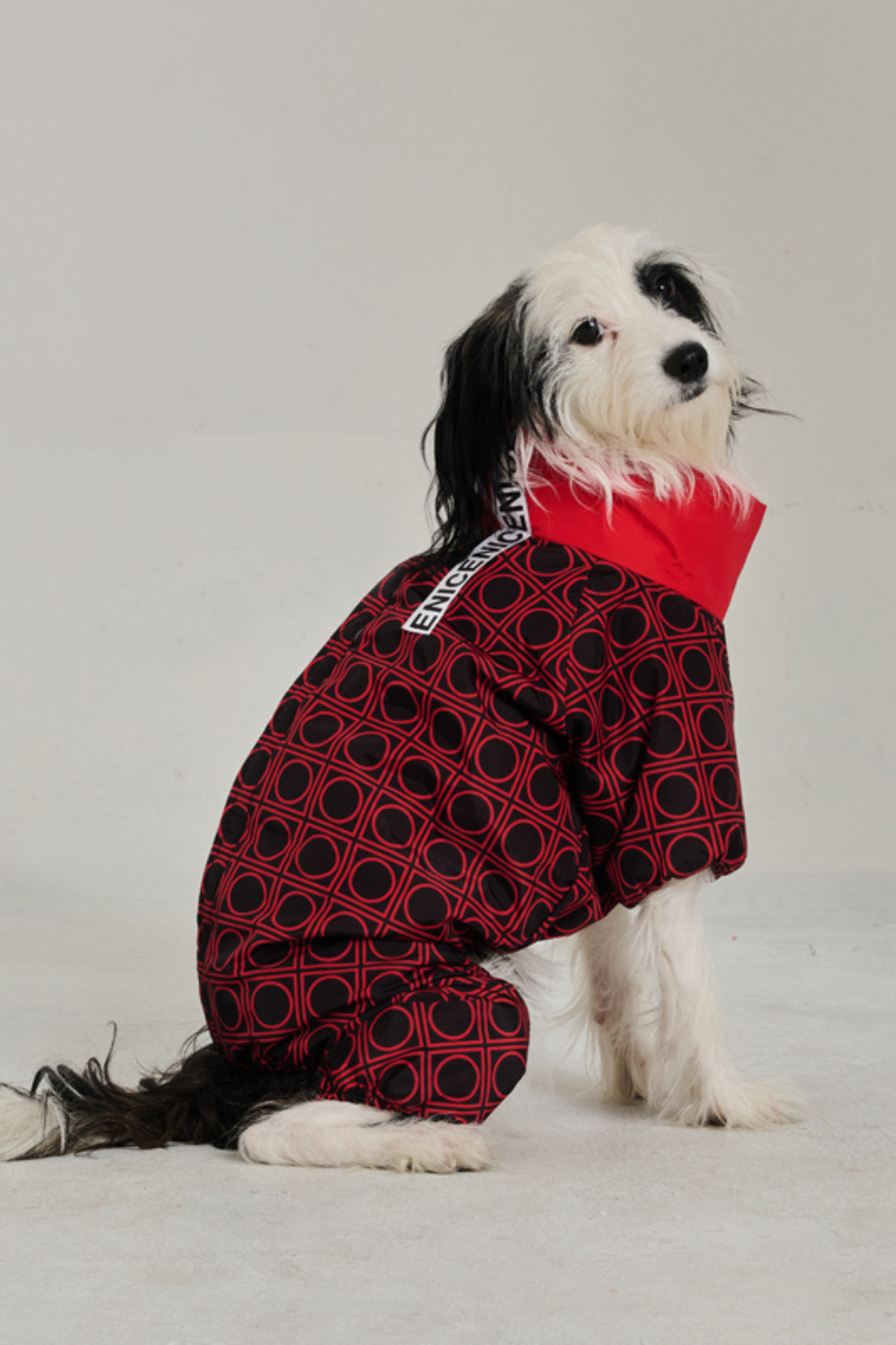 Köpek Tulumu Puffer - Jumpsuit Series - London