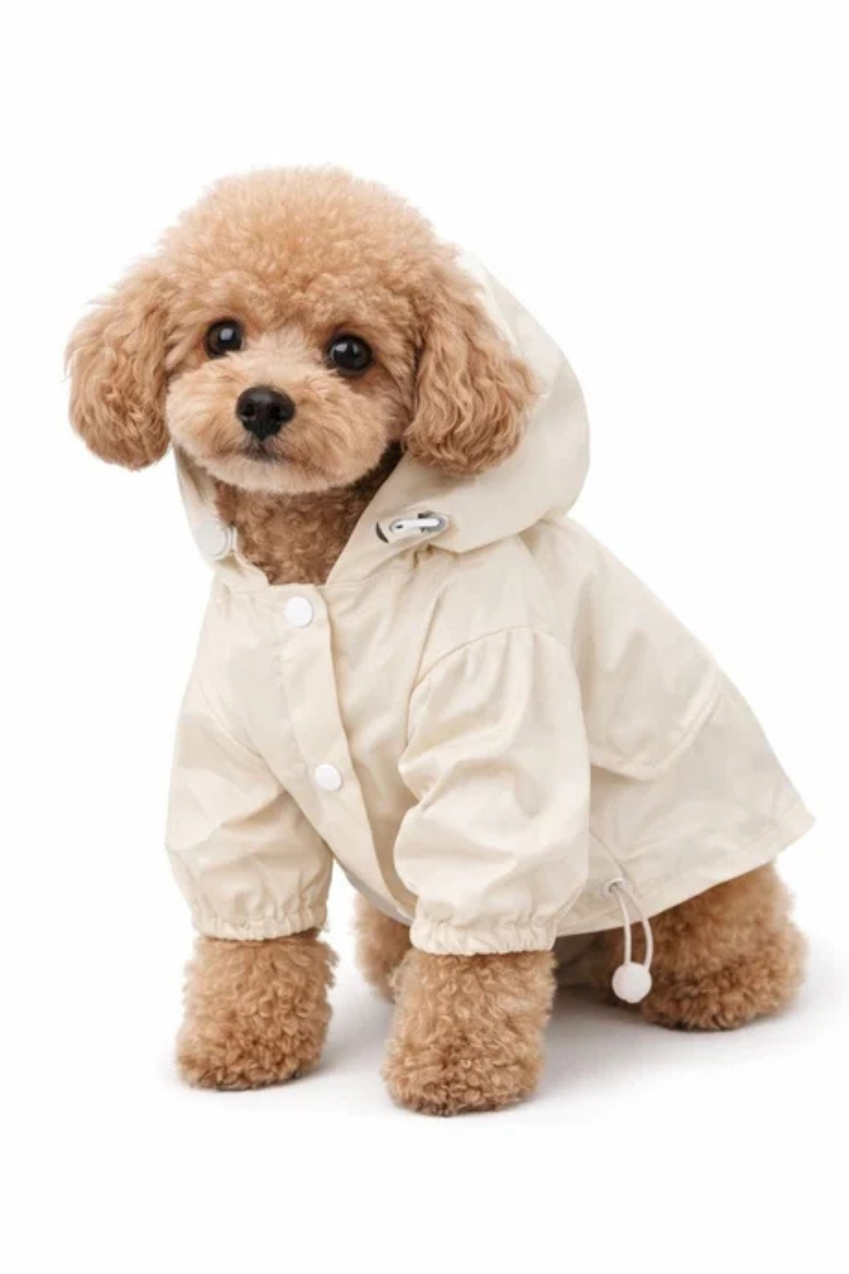 Dolcepets Köpek Yağmurluk Krem