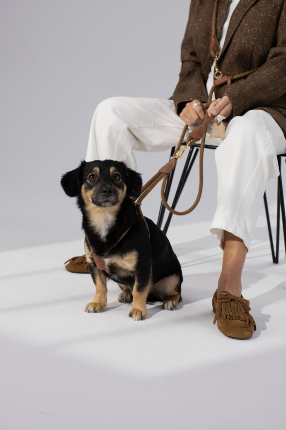 Zoe Pet Atelier Loop Köpek Göğüs Tasması Karamel Kahverengi