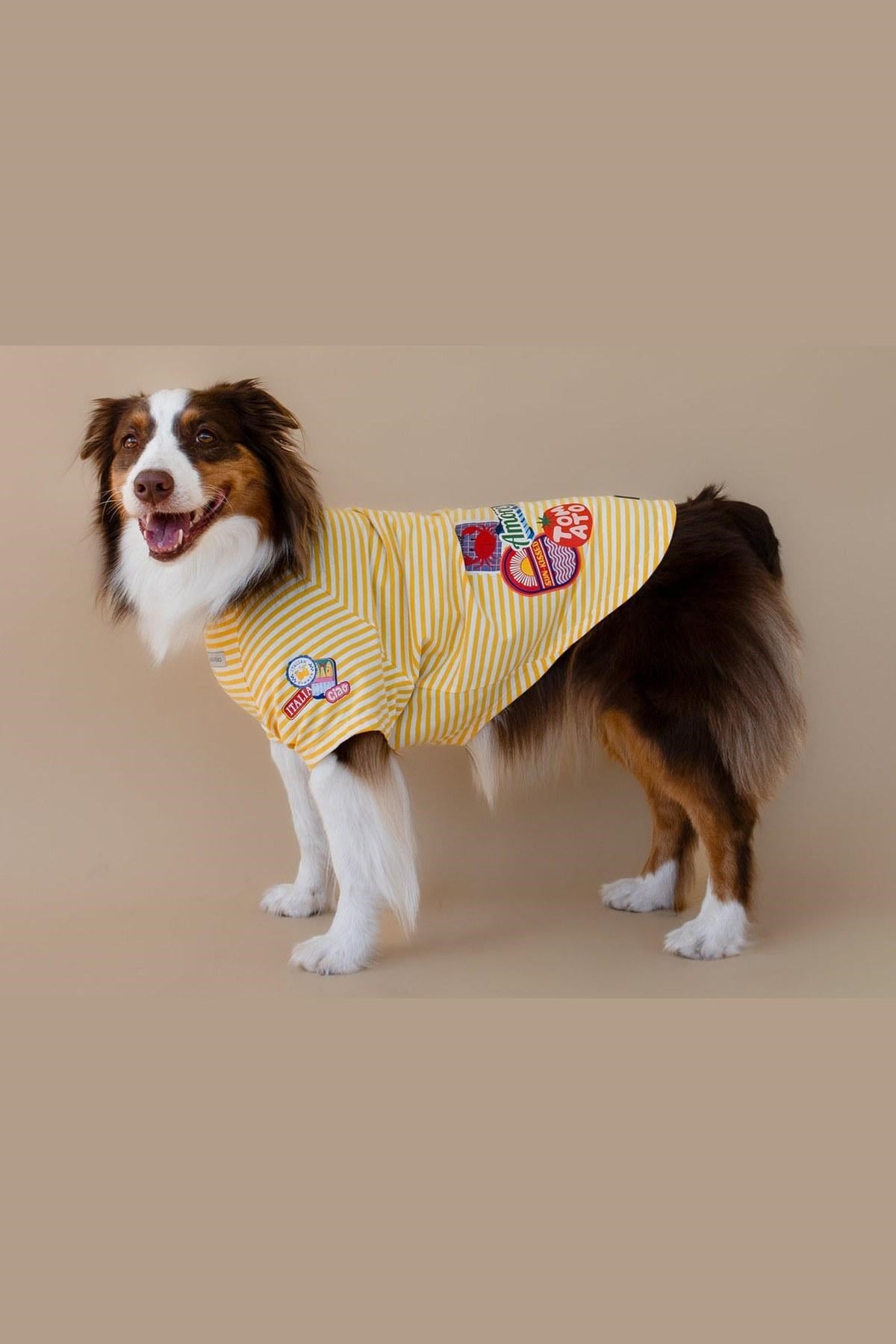 Asky&Erd Ciao Capri Köpek T-Shirt Limoncello