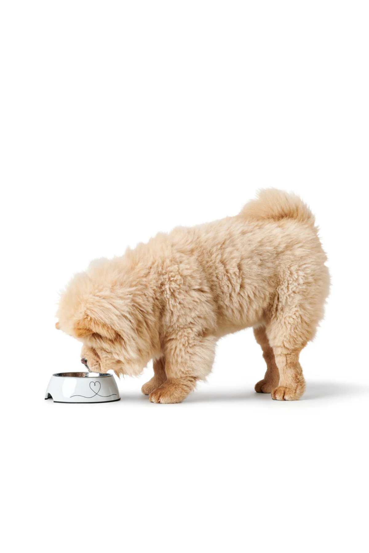 Hunter Valencia Melamin Köpek Mama ve Su Kabı