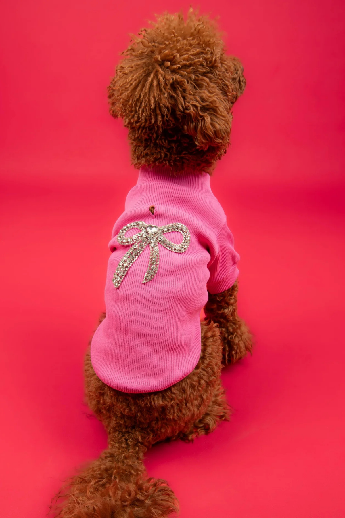 Goodboi Pembe Taşlı Ribana Köpek T-shirtleri