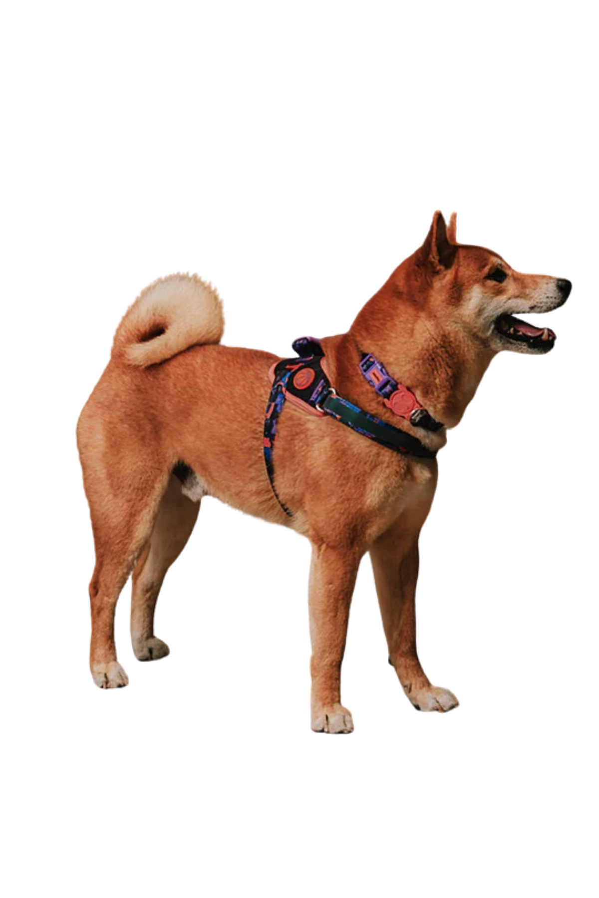 Zee.Dog Reebok x Zee.Dog Court FlyHarness Köpek Göğüs Tasması