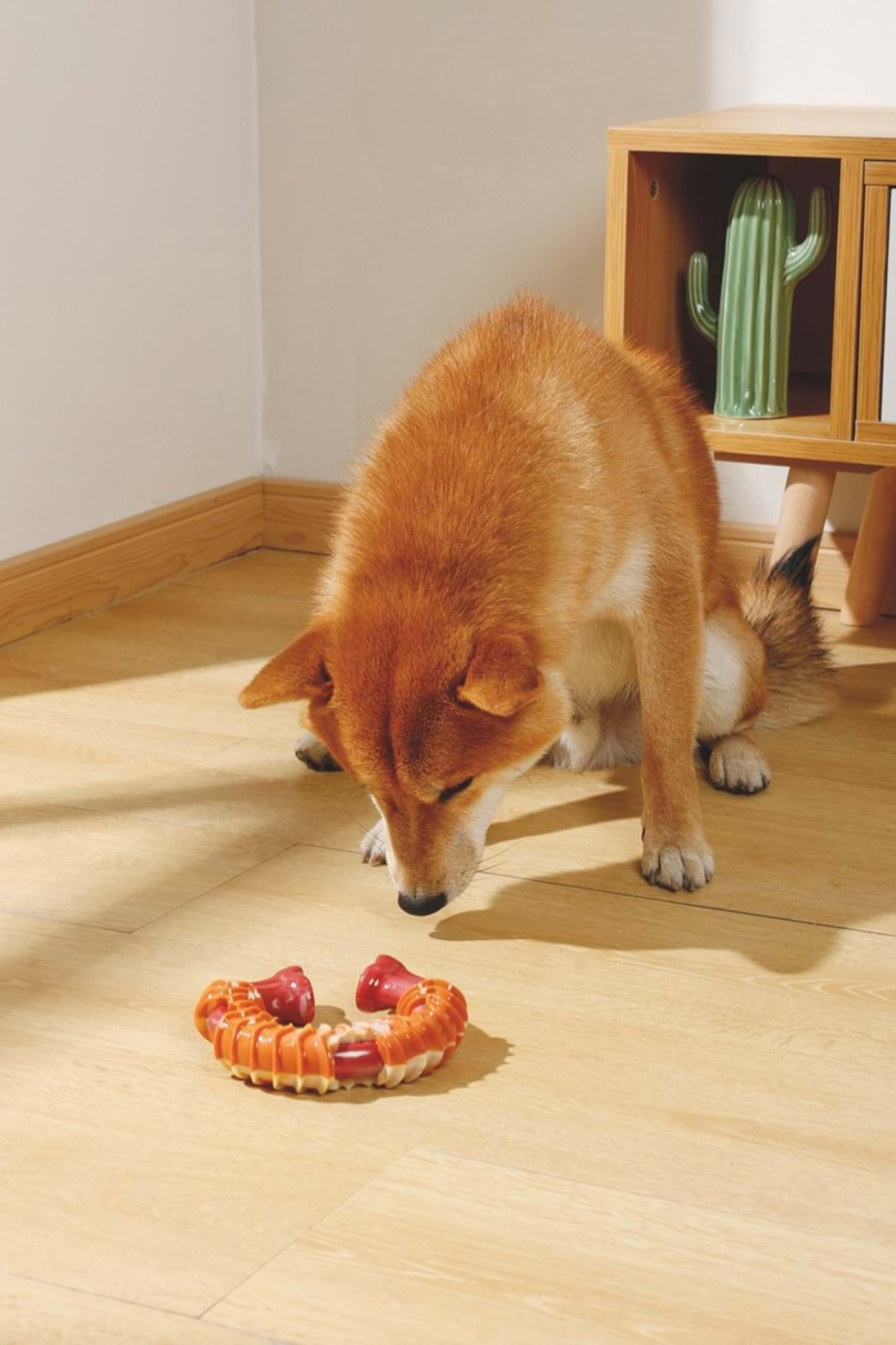 M-PETS CARNIVORE DOG TOY RING BONE PASTIRMA AROMALI