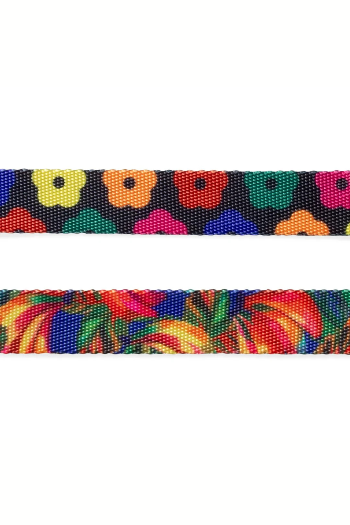 Zee.Dog Samba Köpek Göğüs Tasması - FARM Rio