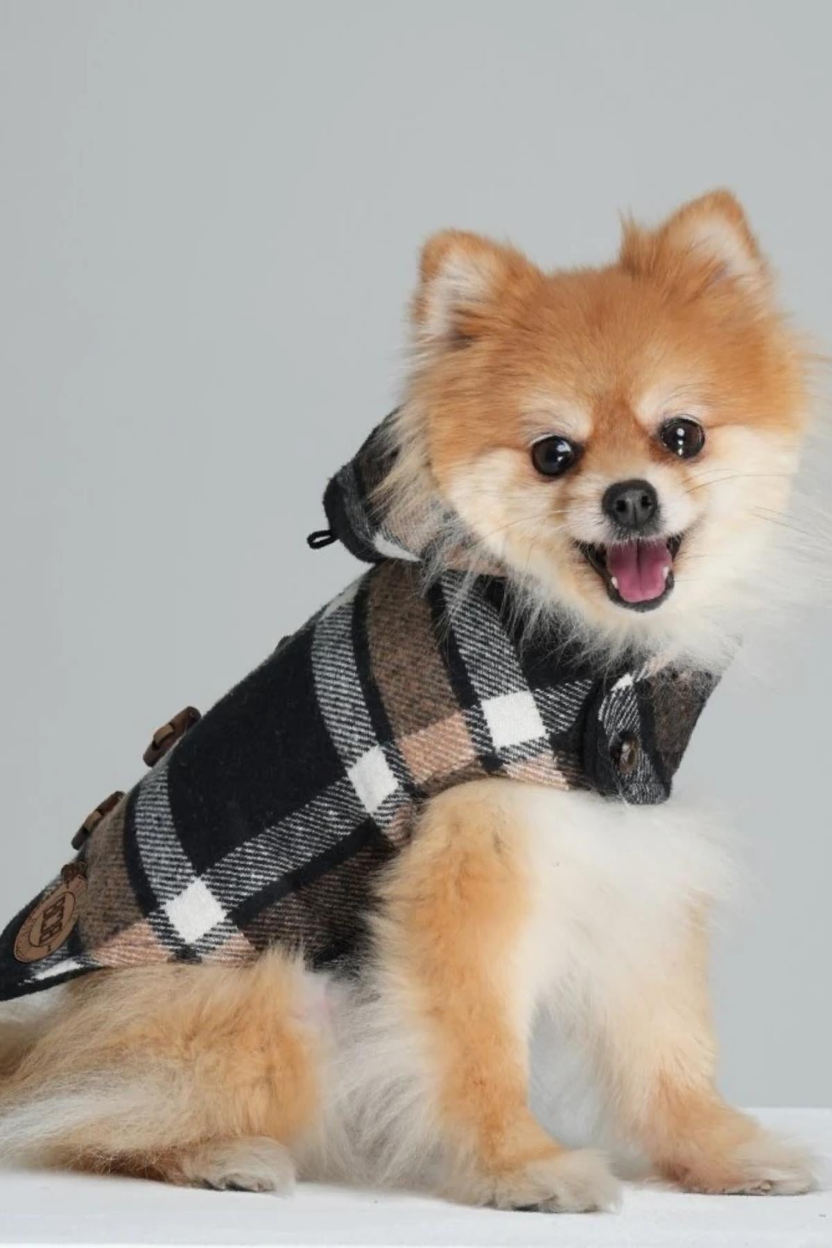 Bcbc Duffle Coat Hooded Dog Jacket Coffee