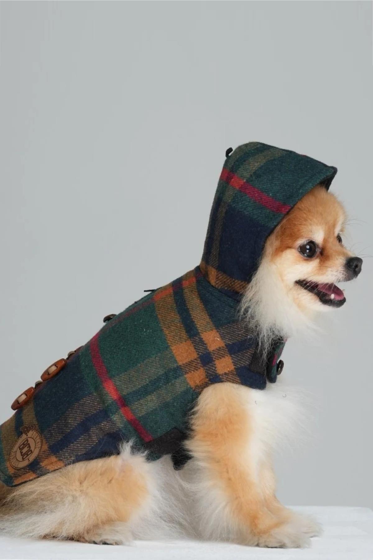 BCBC Duffle Coat Kapşonlu Köpek Ceket Yeşil