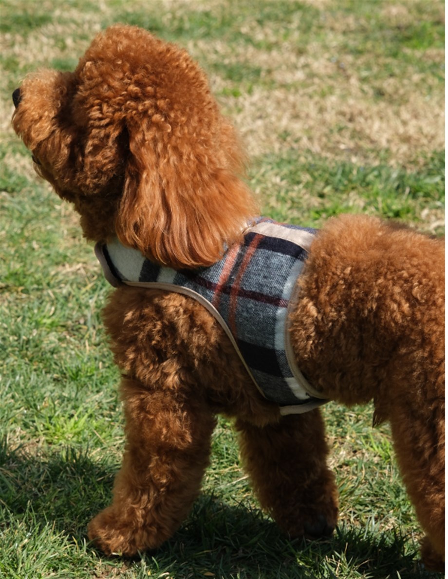 BCBC Fluffy Köpek Vest Harness Mavi