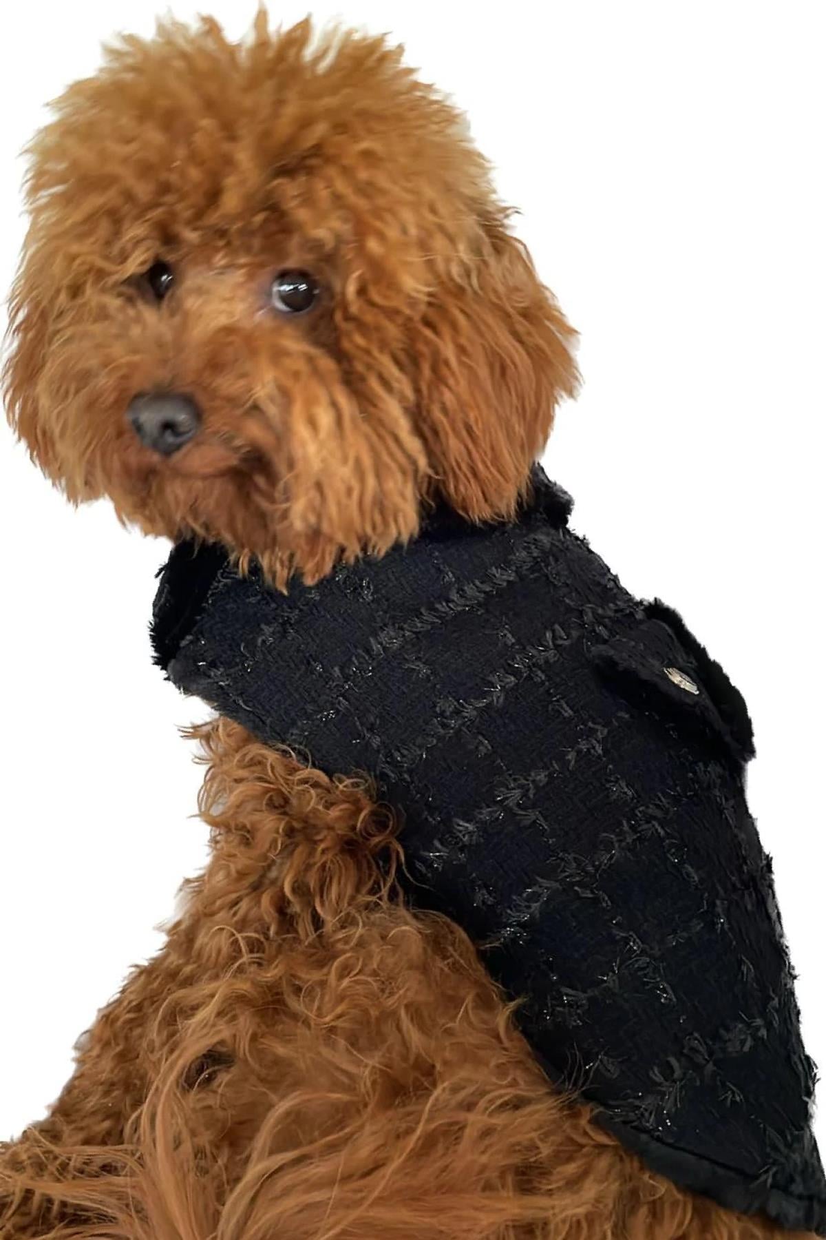 BCBC Gabriella Coat Köpek Ceket Siyah-Siyah