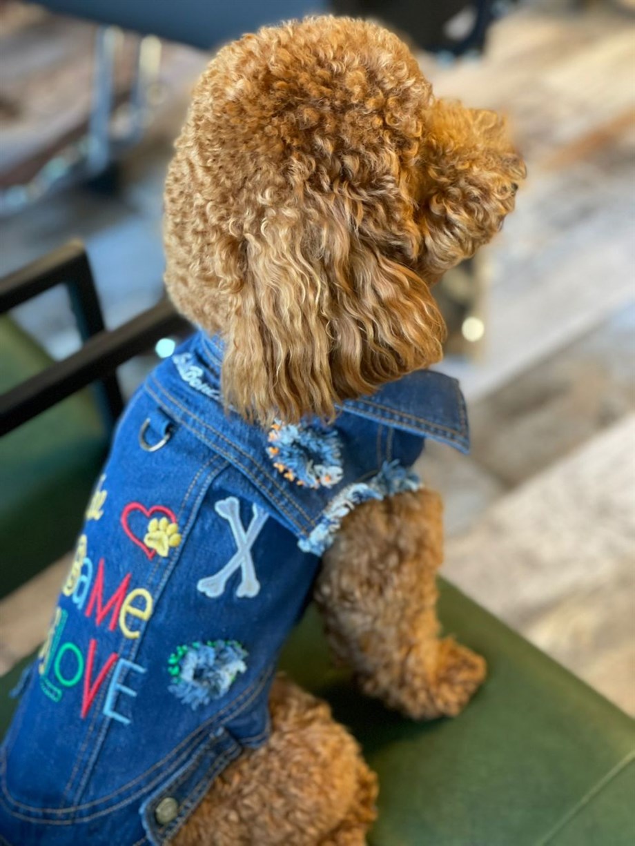 BCBC Game Of Love Denim Jacket Köpek Ceket