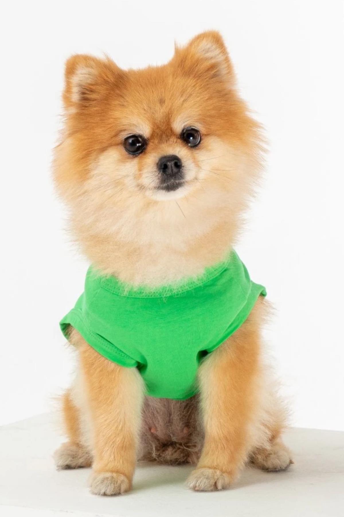 BCBC Party Köpek T-Shirt Yeşil
