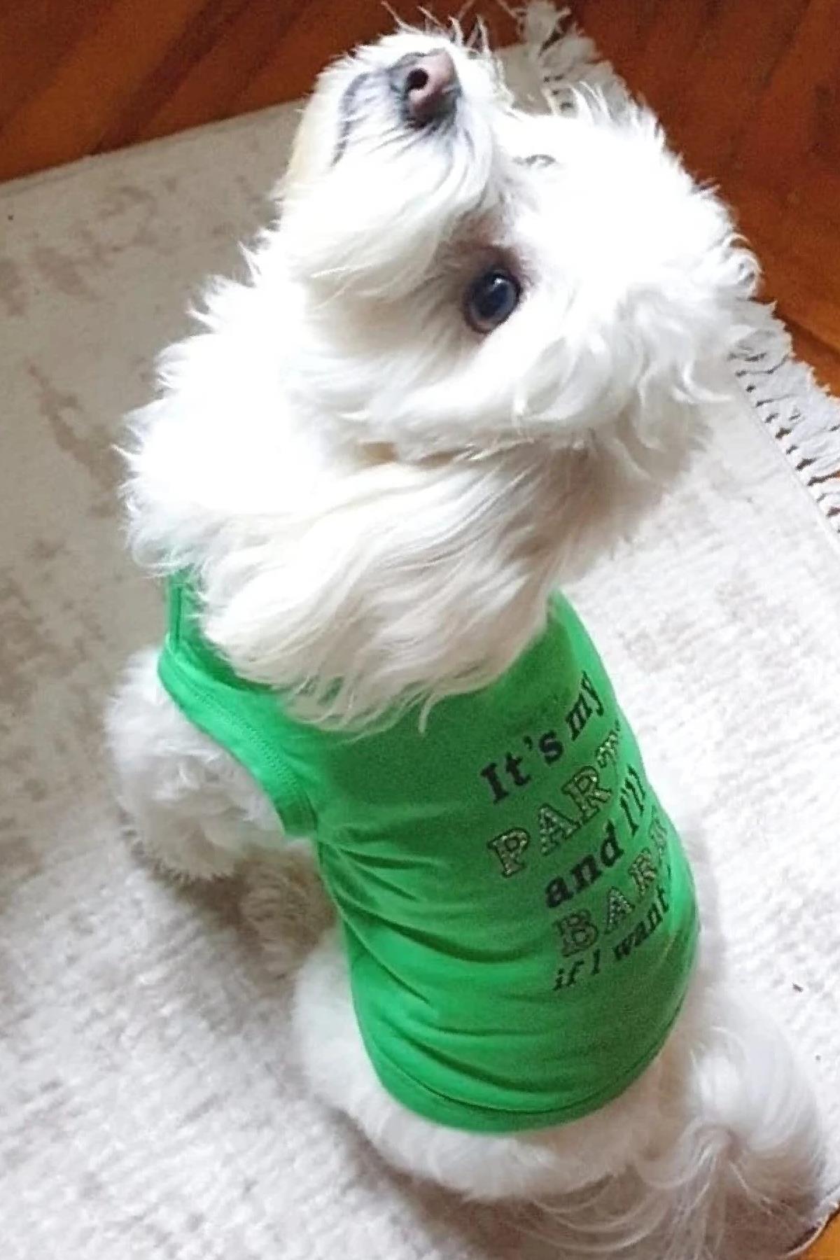 BCBC Party Köpek T-Shirt Yeşil