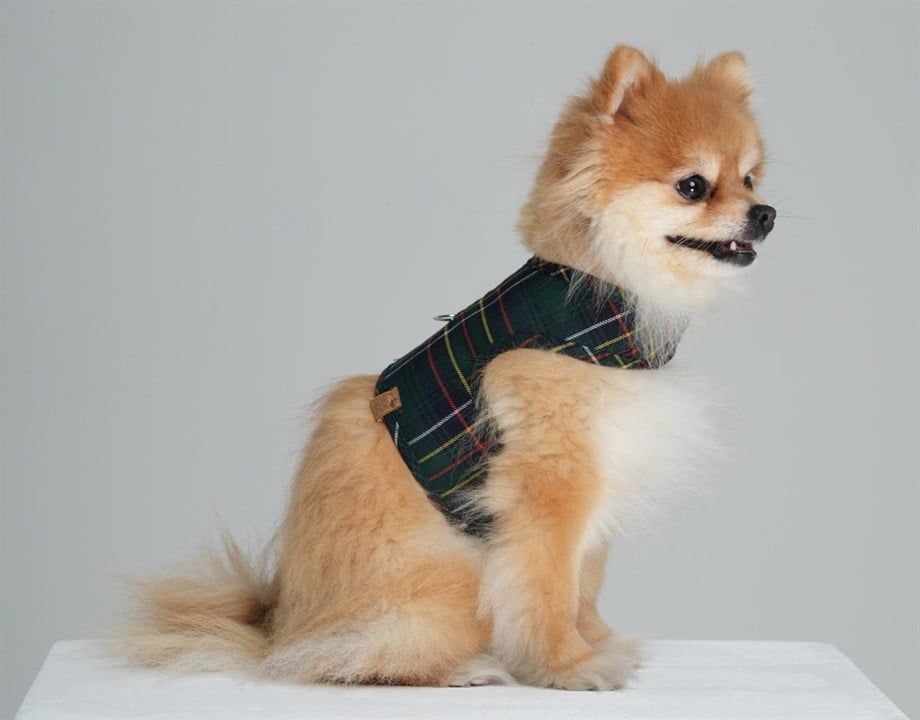 BCBC Pineapple Çift Taraflı-Denim Harness Vest