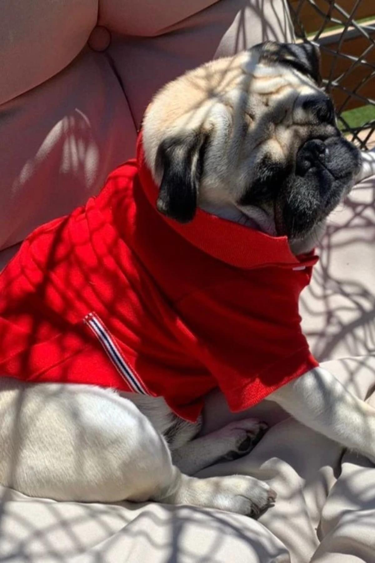BCBC Polo Shirt Kırmızı