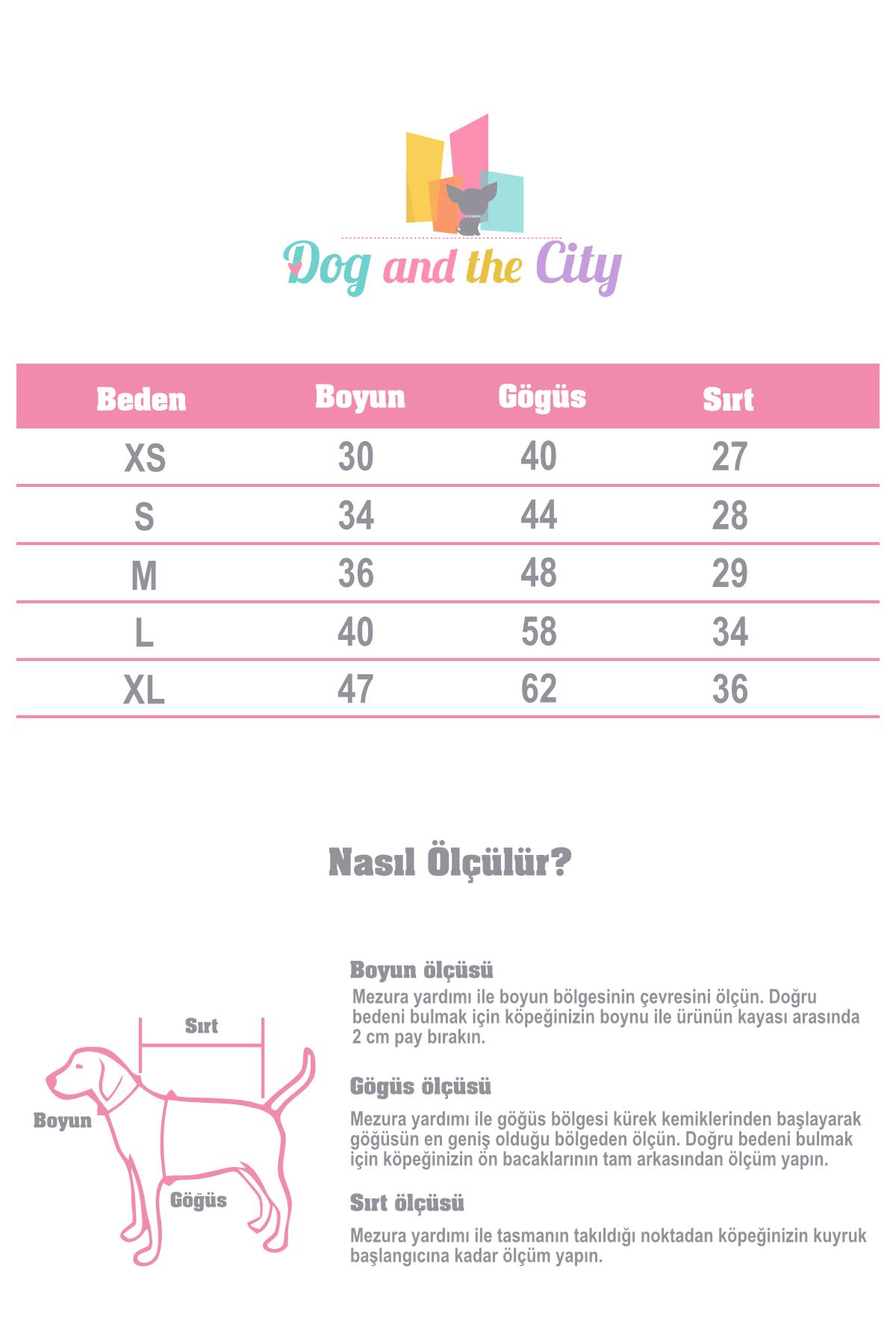 BCBC Single Köpek T-Shirt Gri