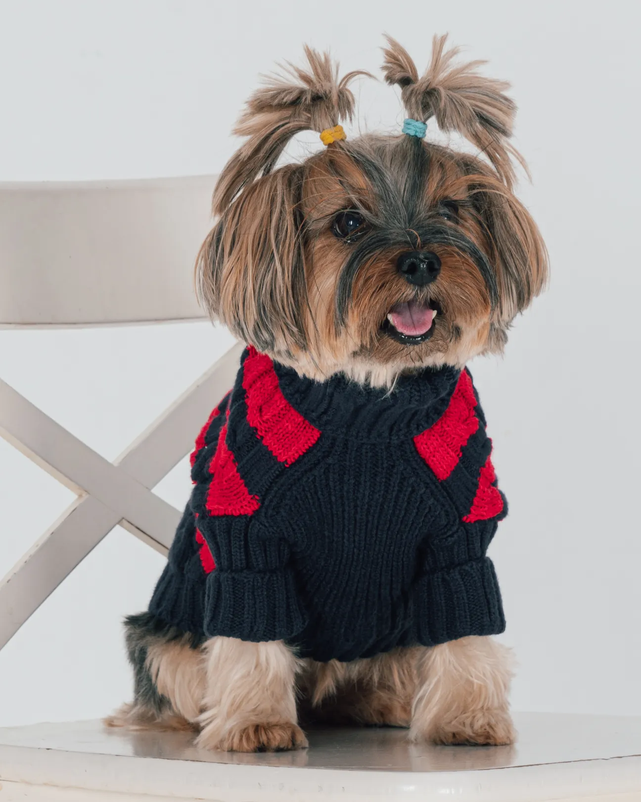 BCBC Speacy Köpek Kazak